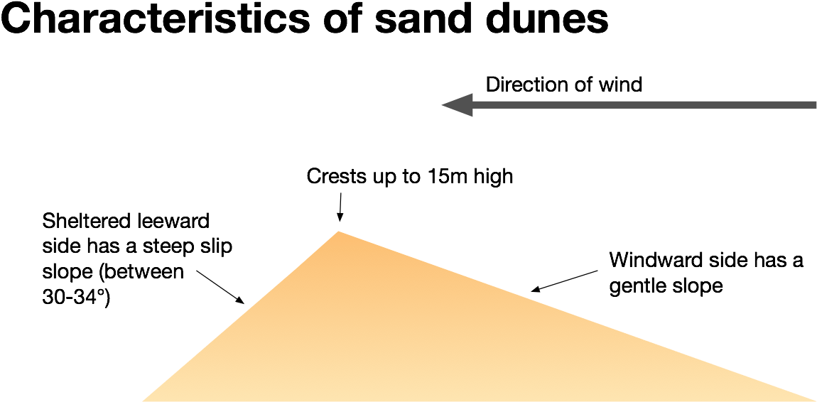 The Characteristics Of Sand Dunes - Diagram (1180x641), Png Download