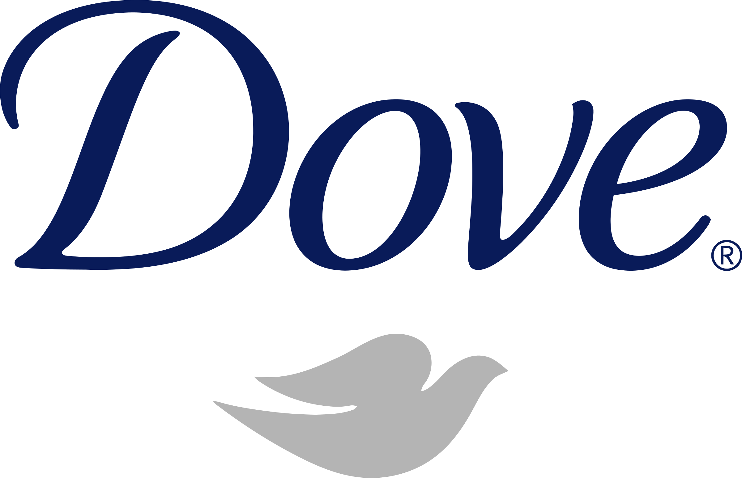 Dove Logo Png Transparent - Dove Logo (2400x1547), Png Download