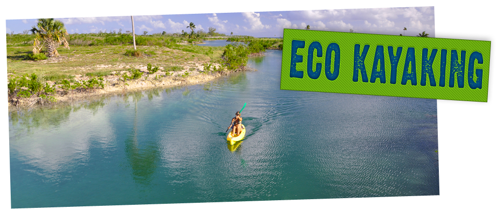 Prev Next - Bahamas (1000x444), Png Download