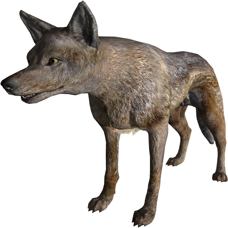 Coyote - Fallout Coyote (828x811), Png Download