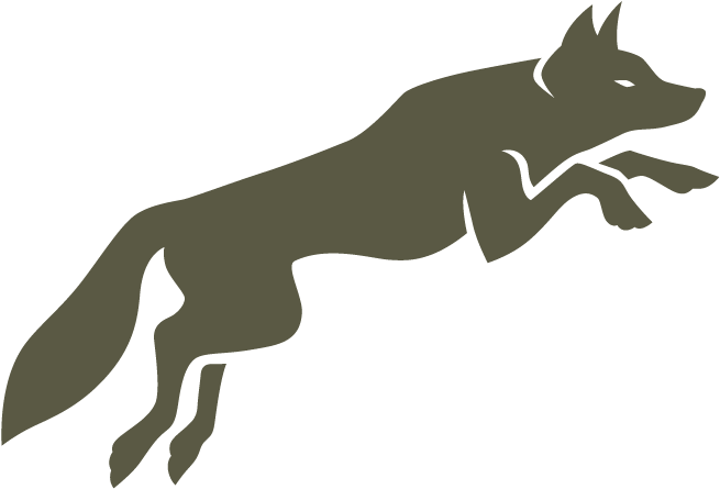 Shop For A Unique Gift - Dog Catches Something (736x600), Png Download