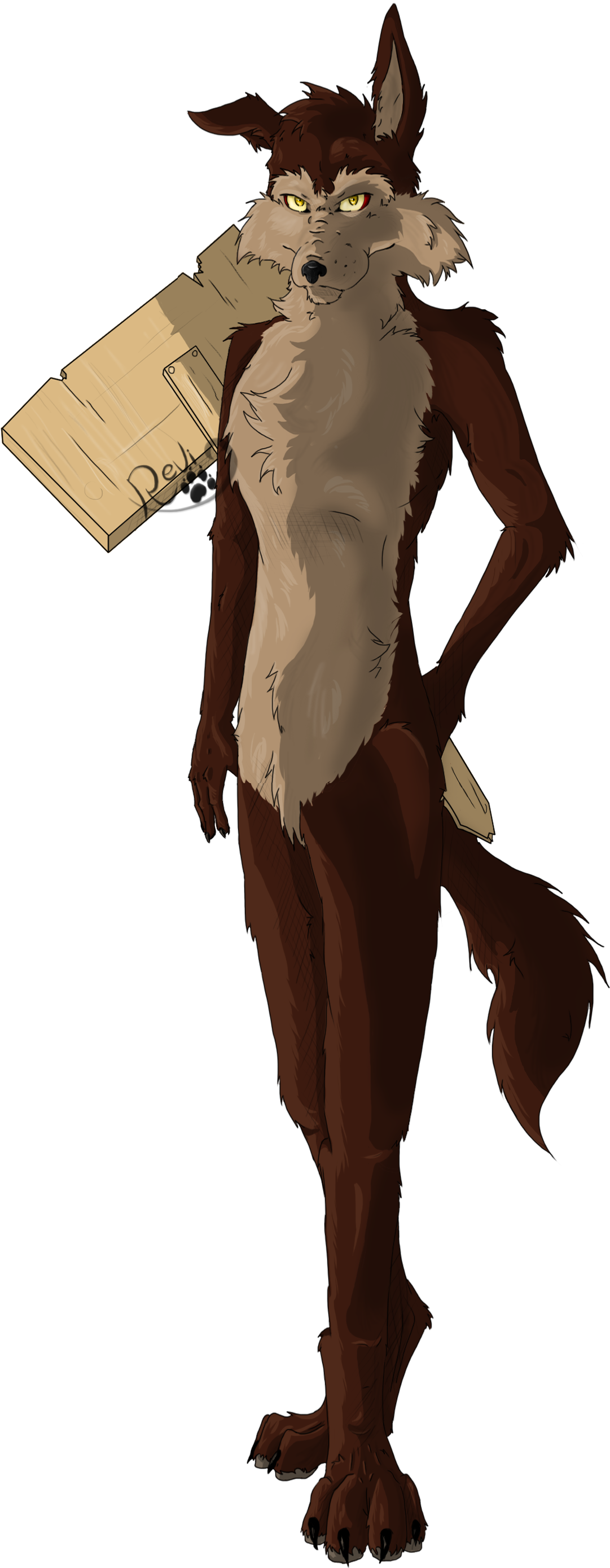 Wile E Coyote Fanart In My Style~ - Realistic Wile E Coyote And Roadrunner (1263x3255), Png Download