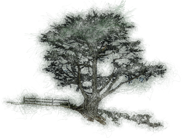 Click And Drag To Re-position The Image, If Desired - Sketch (600x509), Png Download