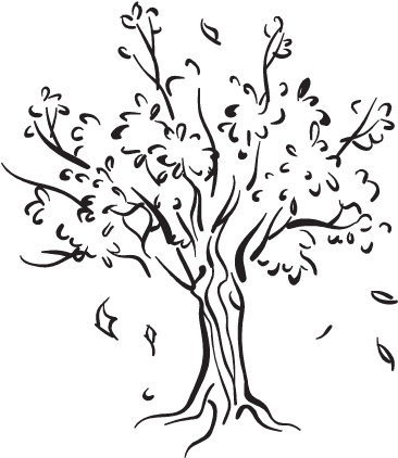 Willow Drawing Whimsical Tree - Tree Leaves Falling Drawing (451x451), Png Download