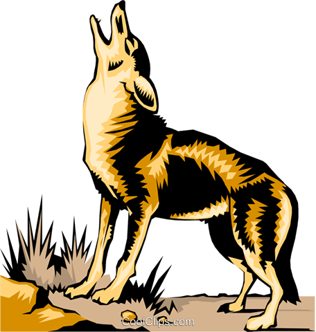 Coyote Clip Art (456x480), Png Download