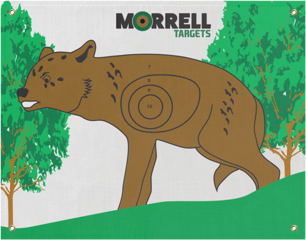 Morrell's Coyote I - Morrell Paper Archery Target 3 Spot Pack (600x600), Png Download