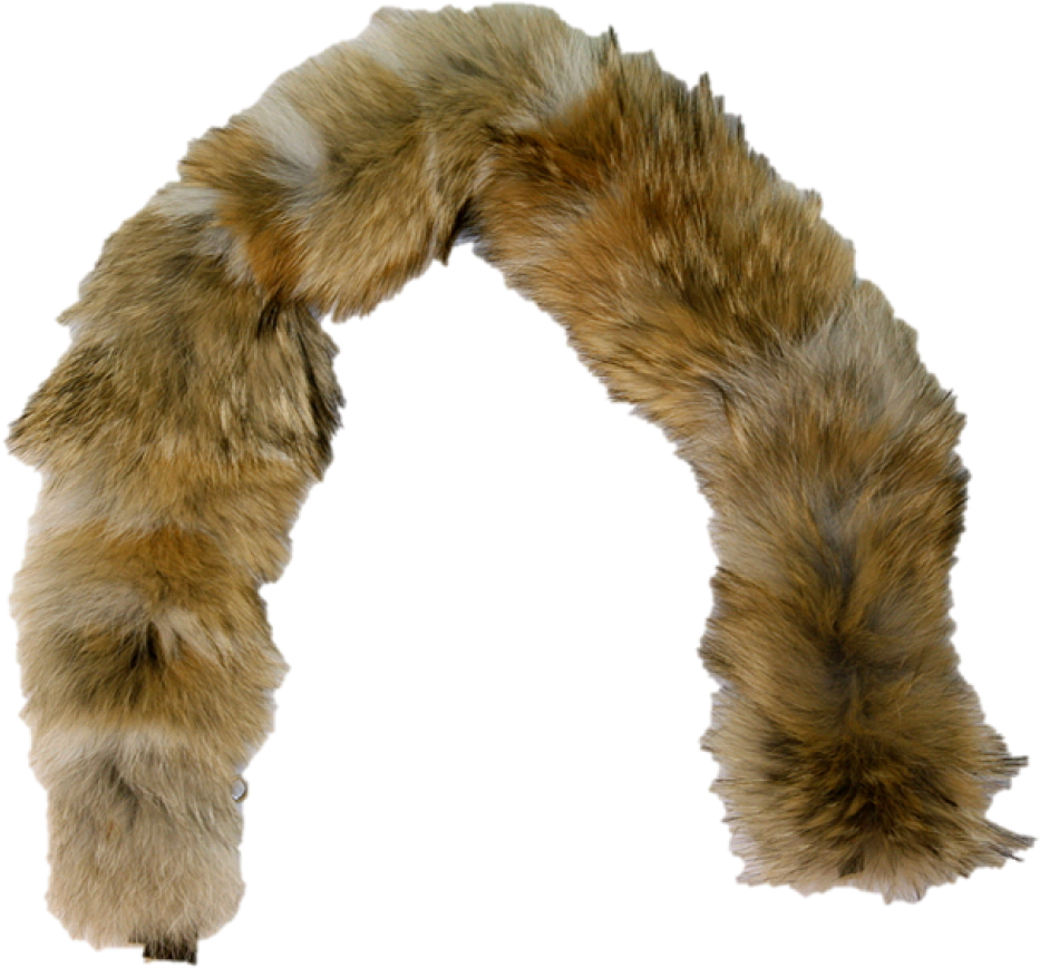 Coyote Fur Plate Ruff - Coyote Fur Png (960x960), Png Download