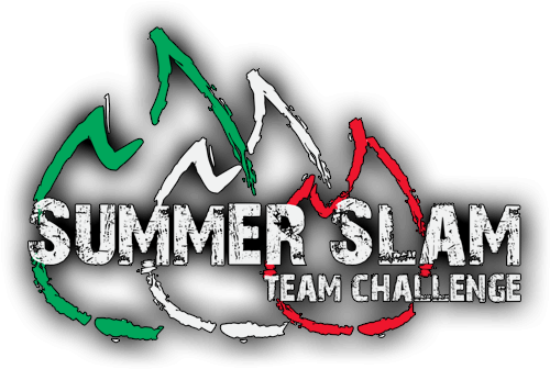 Summerslam - Swim Bottle Opener Keychain, Grey (660x360), Png Download