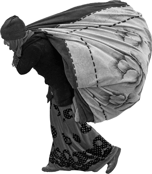 The New Arrivals A Long Term Project Following The - Bust (500x574), Png Download