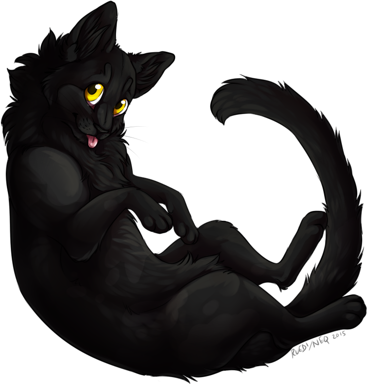 334hqxd - Black Cat (800x800), Png Download