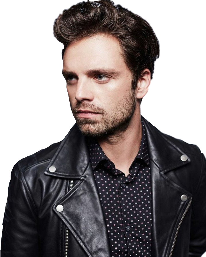 Report Abuse - Sebastian Stan Tiff 2017 (719x896), Png Download