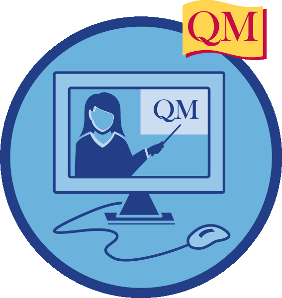 An Introduction To Online Delivery - Quality Matters (567x600), Png Download