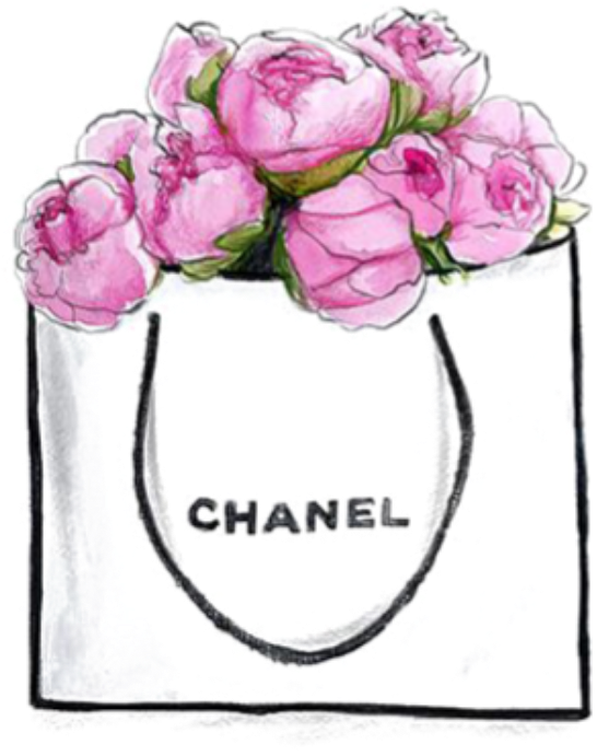 Popular And Trending Chanel Stickers On Picsart Png - Chanel Png (741x861), Png Download