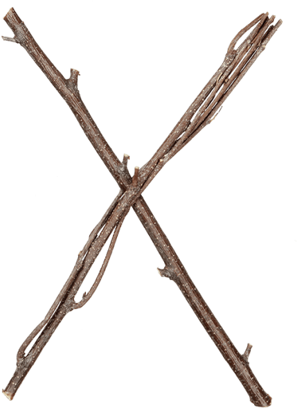 Twigs Brown Font - Twig Png (595x595), Png Download