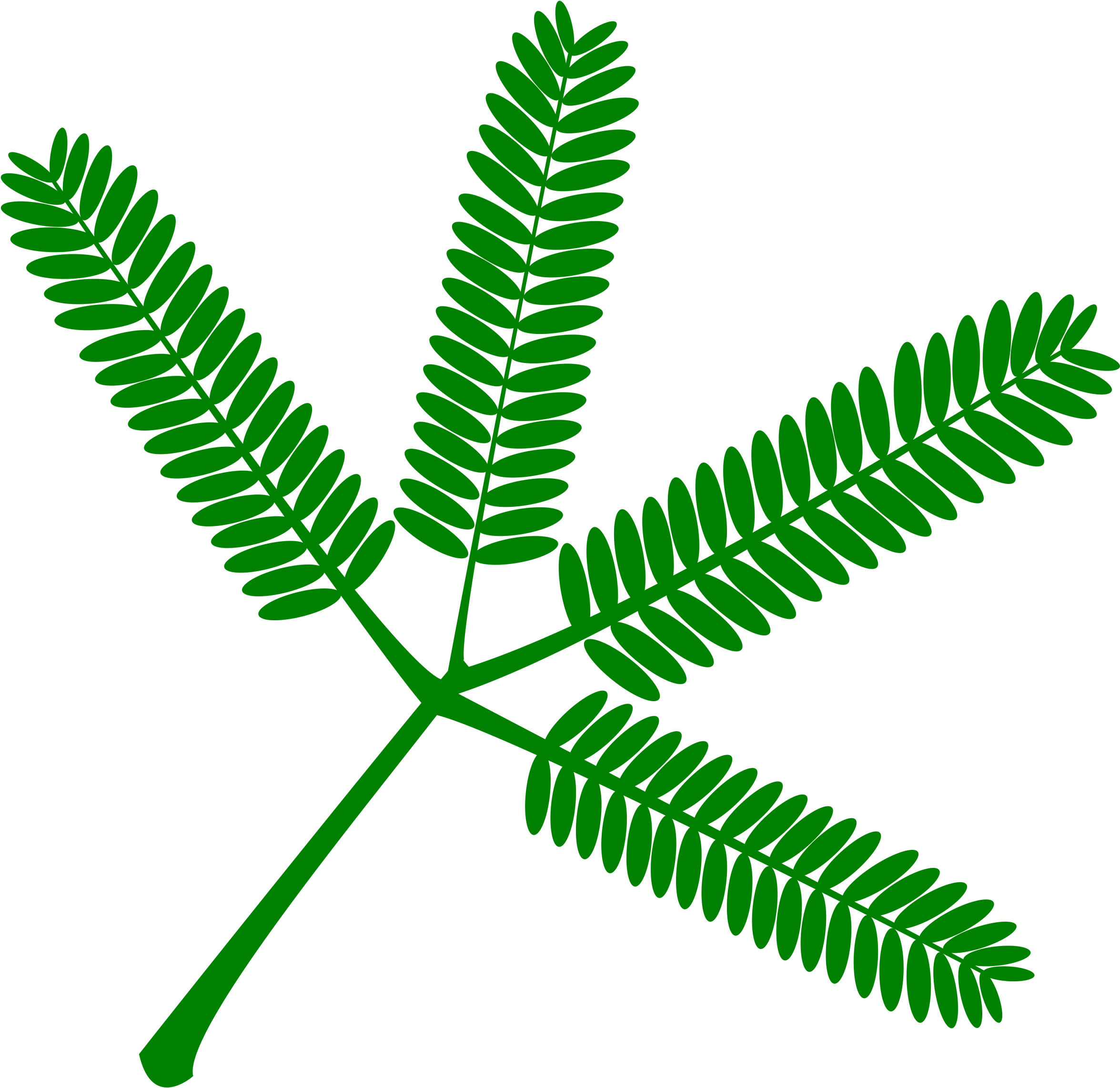 This Free Icons Png Design Of Mimosa Set Of Twigs- (2400x2400), Png Download