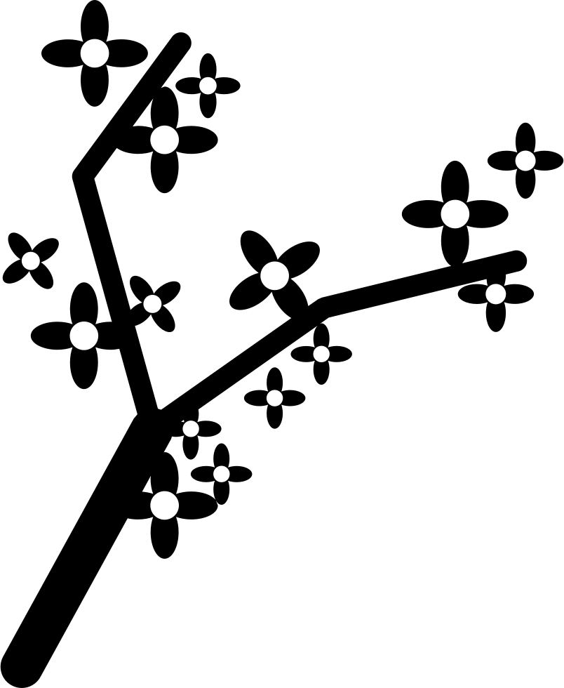 Png File - Tree (804x980), Png Download