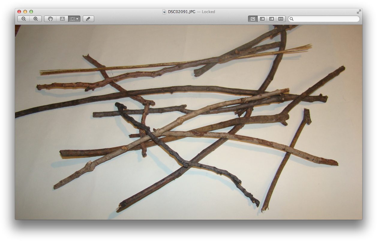 This Is My Drawing Of My Twigs - Twig (1272x820), Png Download