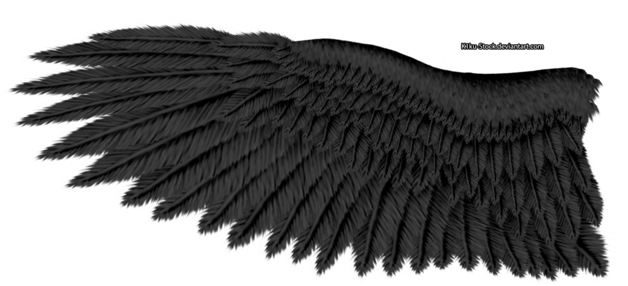 Eagle Wings Transparent Image - Eagle Wing Transparent Background (900x410), Png Download
