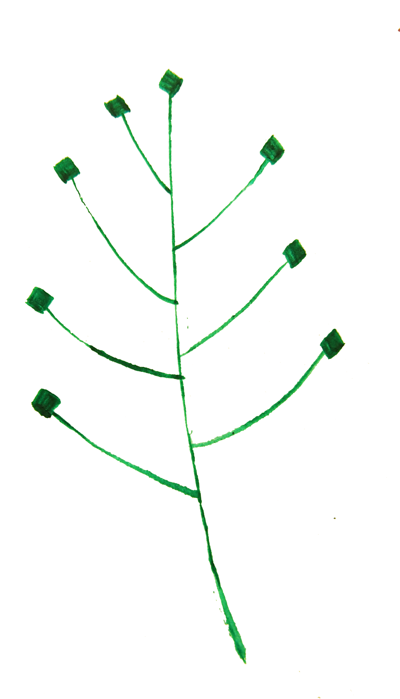 This Free Icons Png Design Of Calligraphic Illustration- (2400x2400), Png Download