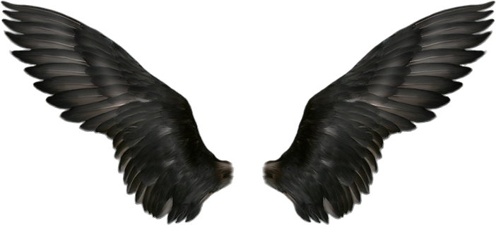 Wings Png - Alas Negras De Angel (700x349), Png Download