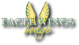 Graphic Design (378x376), Png Download