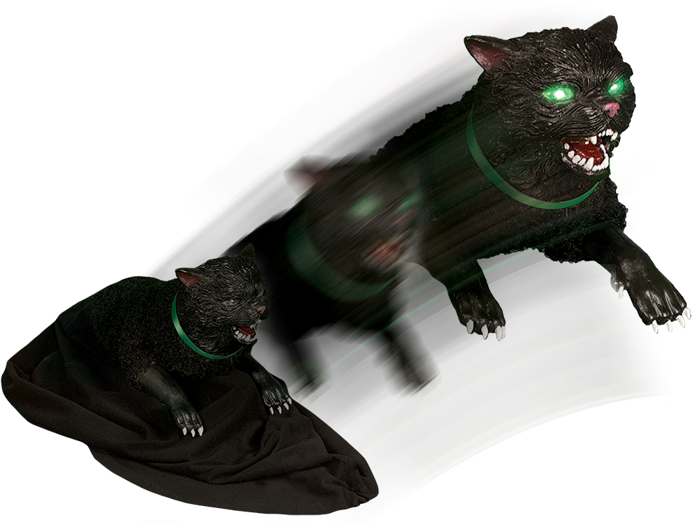 Jumping Cat - Spirit Halloween Cat (1000x1000), Png Download