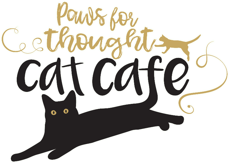 Paws For Thought - Paws For Thought Cat Cafe (1024x768), Png Download
