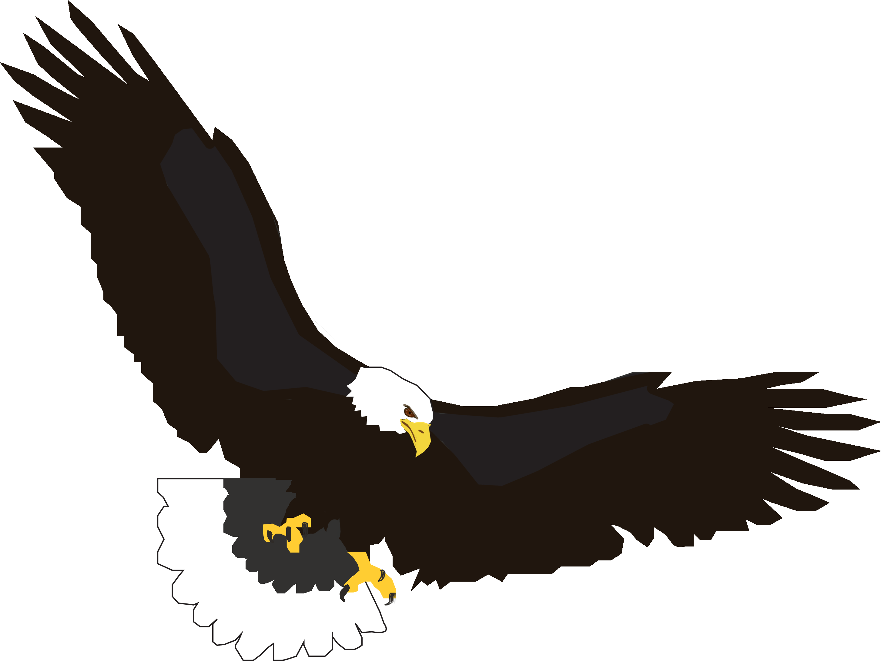 Pictures Of Eagles Wings Free Cliparts That You Can - Golden Eagle (2906x2182), Png Download