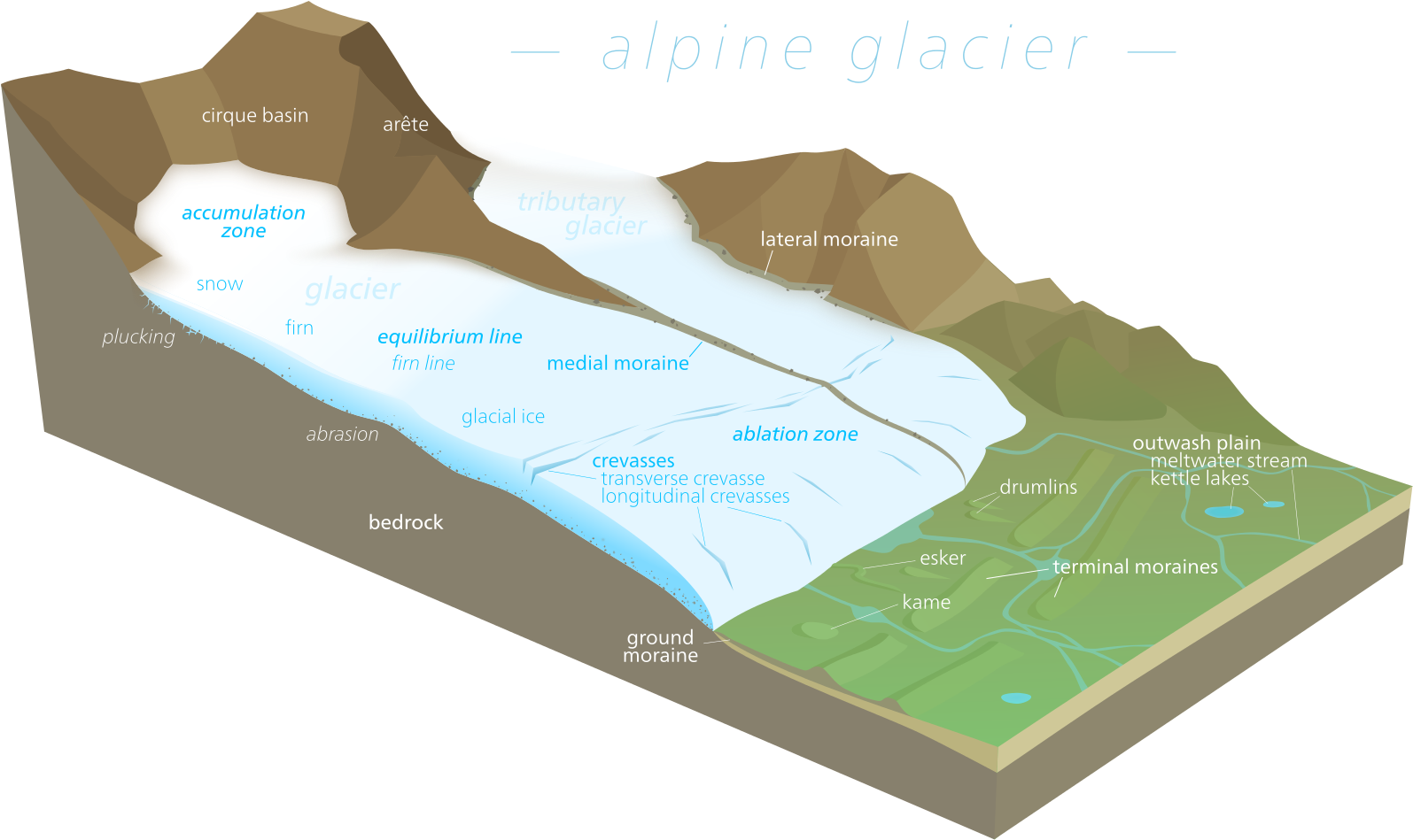 File - Glacier Diagram - Svg - Glacier Diagram (1600x1000), Png Download