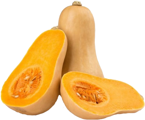Calabaza Butternut - Butter Nut (600x600), Png Download