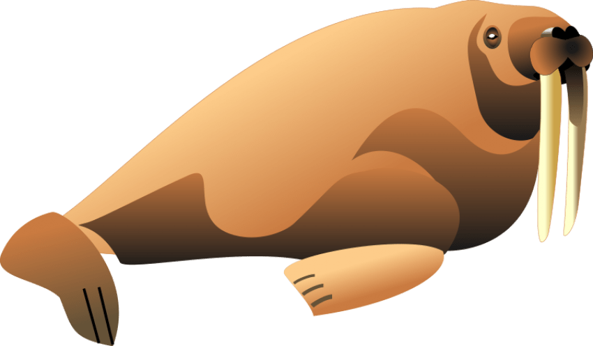 Free Png Walrus Png Images Transparent - Clipart Walrus (850x497), Png Download