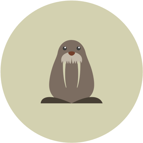 Vector Graphics (500x500), Png Download