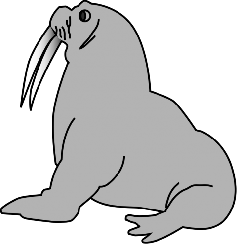 Free Png Walrus Png Images Transparent - Seal Clip Art (480x495), Png Download