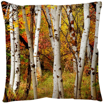 Birch Trees Fall (400x400), Png Download
