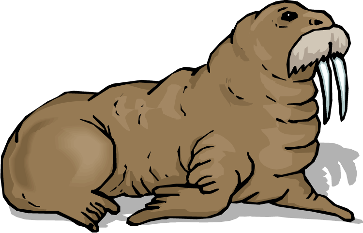 Walrus Download Png Image - Clipart Images Of Walrus (750x481), Png Download