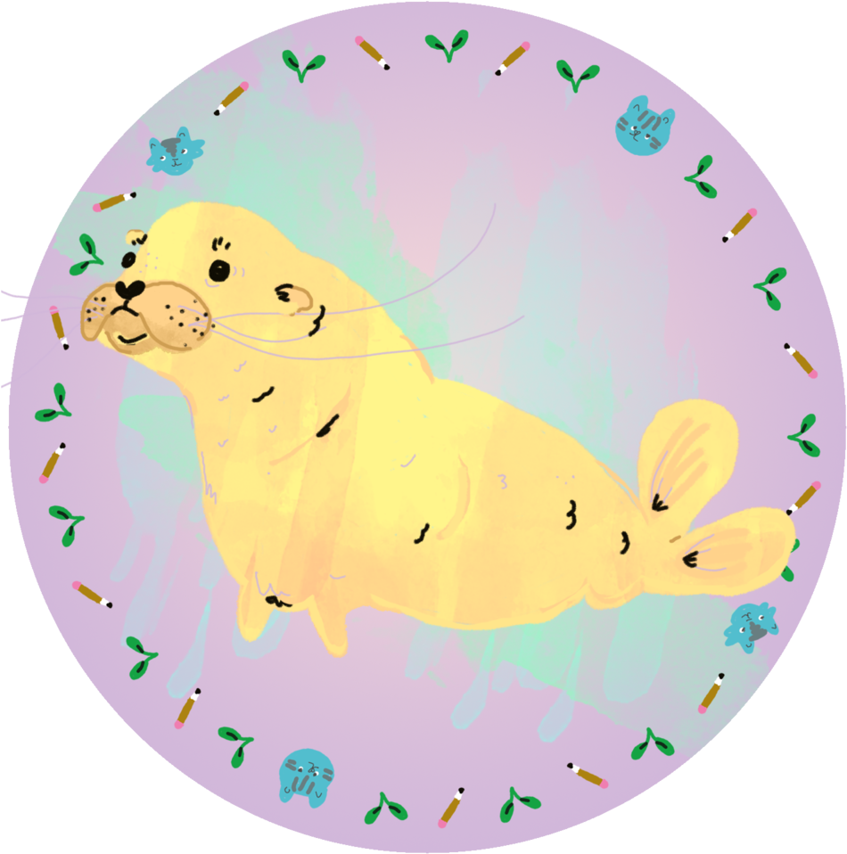 Walrus Png (1000x1000), Png Download