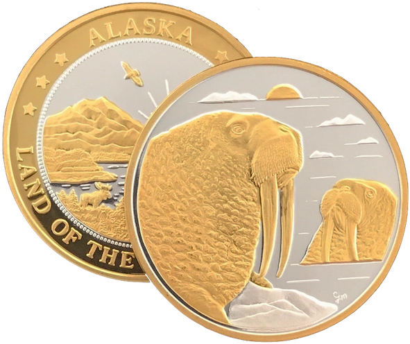 Coin (600x498), Png Download