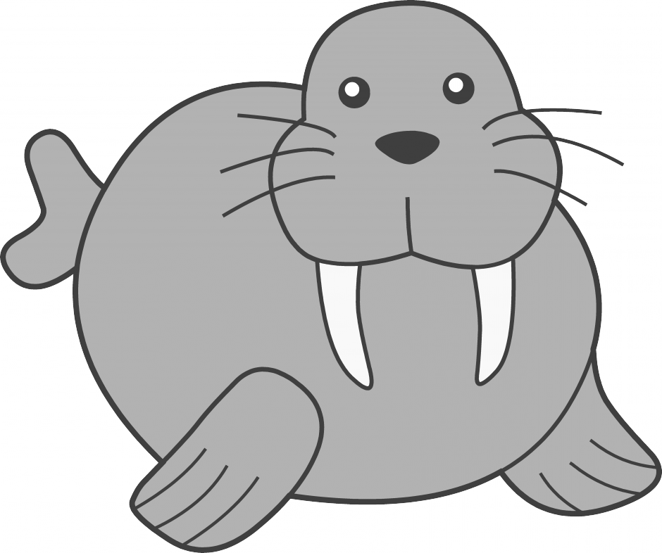 Walrus Clipart - Coloring Book (940x786), Png Download