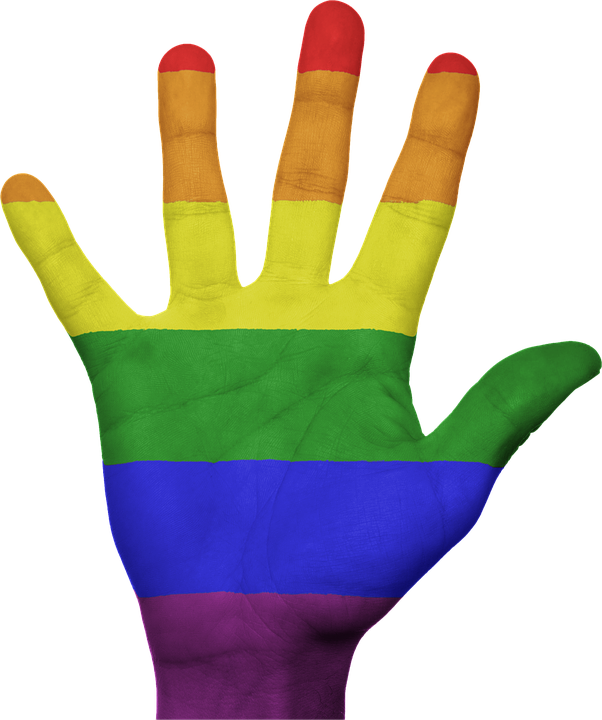 Hand, Flag, Rainbow, Gay, Homosexual, Pride, Love - Mano Con La Bandera Gay (602x720), Png Download