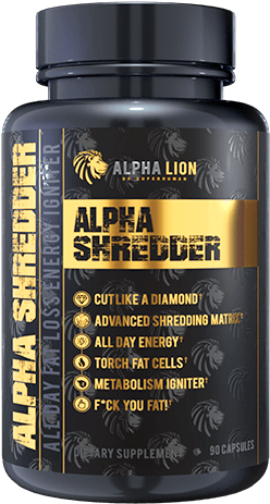 Lion (600x600), Png Download