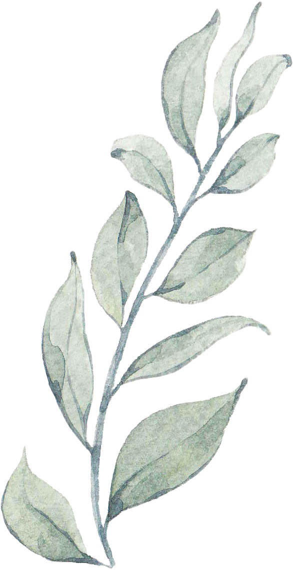 Euclidean Vector (668x1212), Png Download