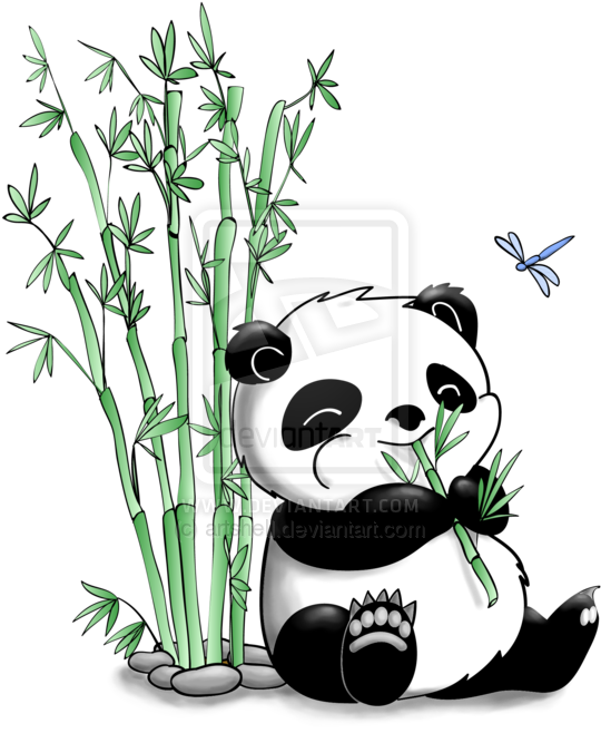 Panda Eating Bamboo By Artshell - Panda Bear With Bamboo Drawing (600x682), Png Download