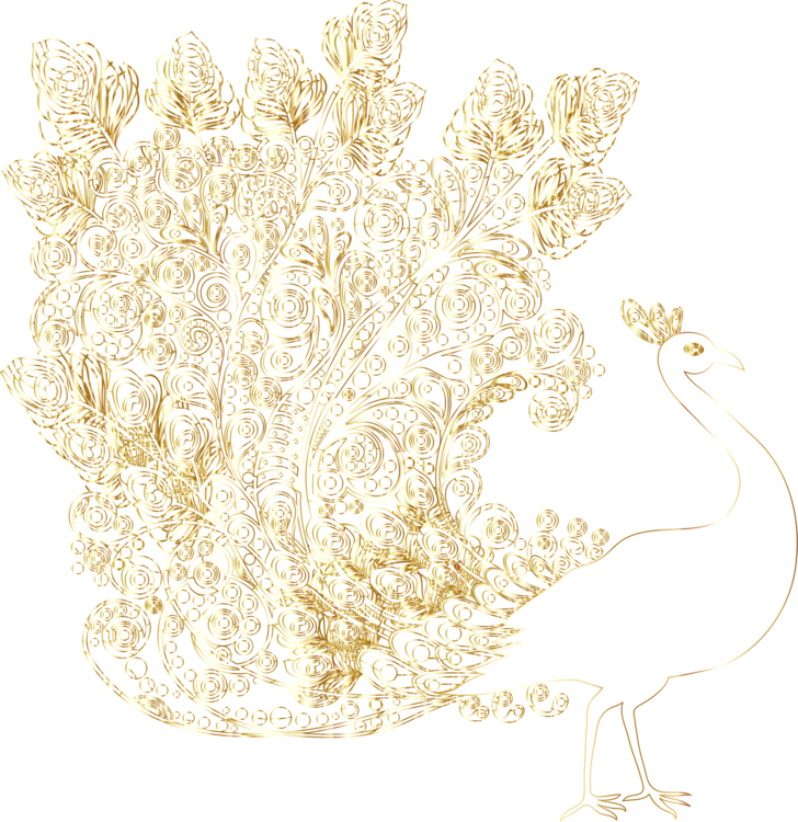 Peafowl Feather Gold Description - Clip Art (728x750), Png Download