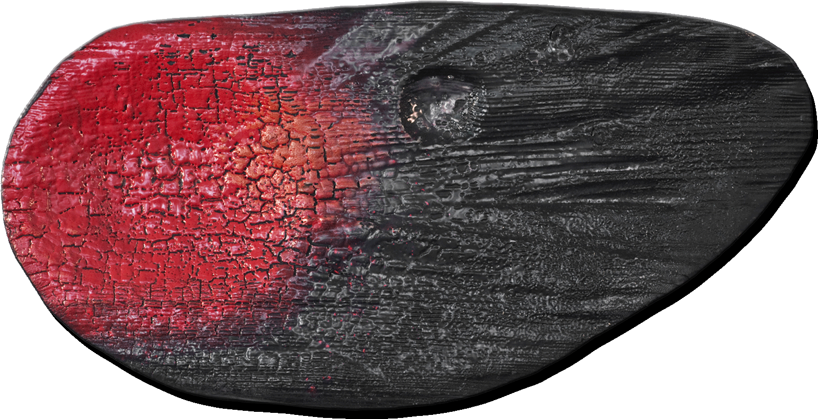 By Using The Fire As A Brush, Invisible Traces Emerge - Insect (1701x1134), Png Download