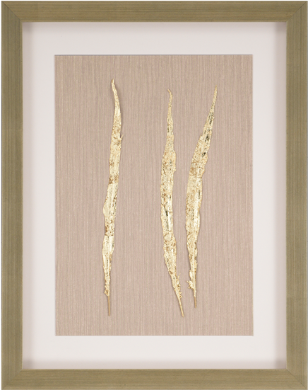 Picture Frame (550x550), Png Download
