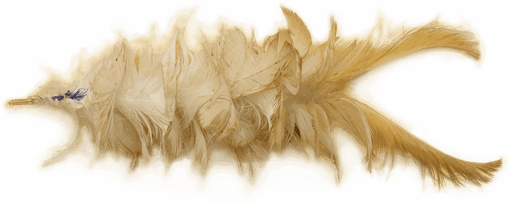 Dani Feather - Grass (1000x400), Png Download