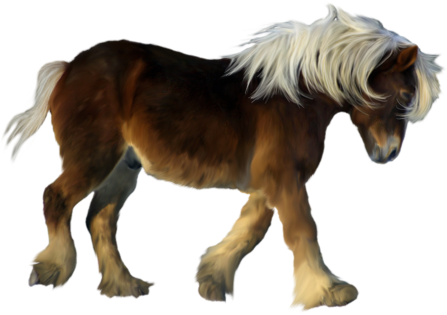 Pony Png (1500x1057), Png Download