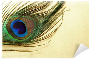 Feather Of A Peacock On A Gold Background Wall Mural - Feather (400x400), Png Download