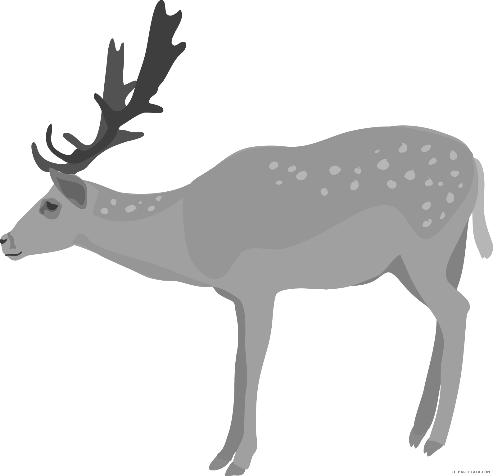 Clipart Fall Deer - Deer Clip Art Png (1588x1535), Png Download