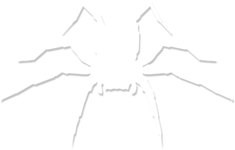 White Spider Web Picture Royalty Free Stock - Insect (470x300), Png Download